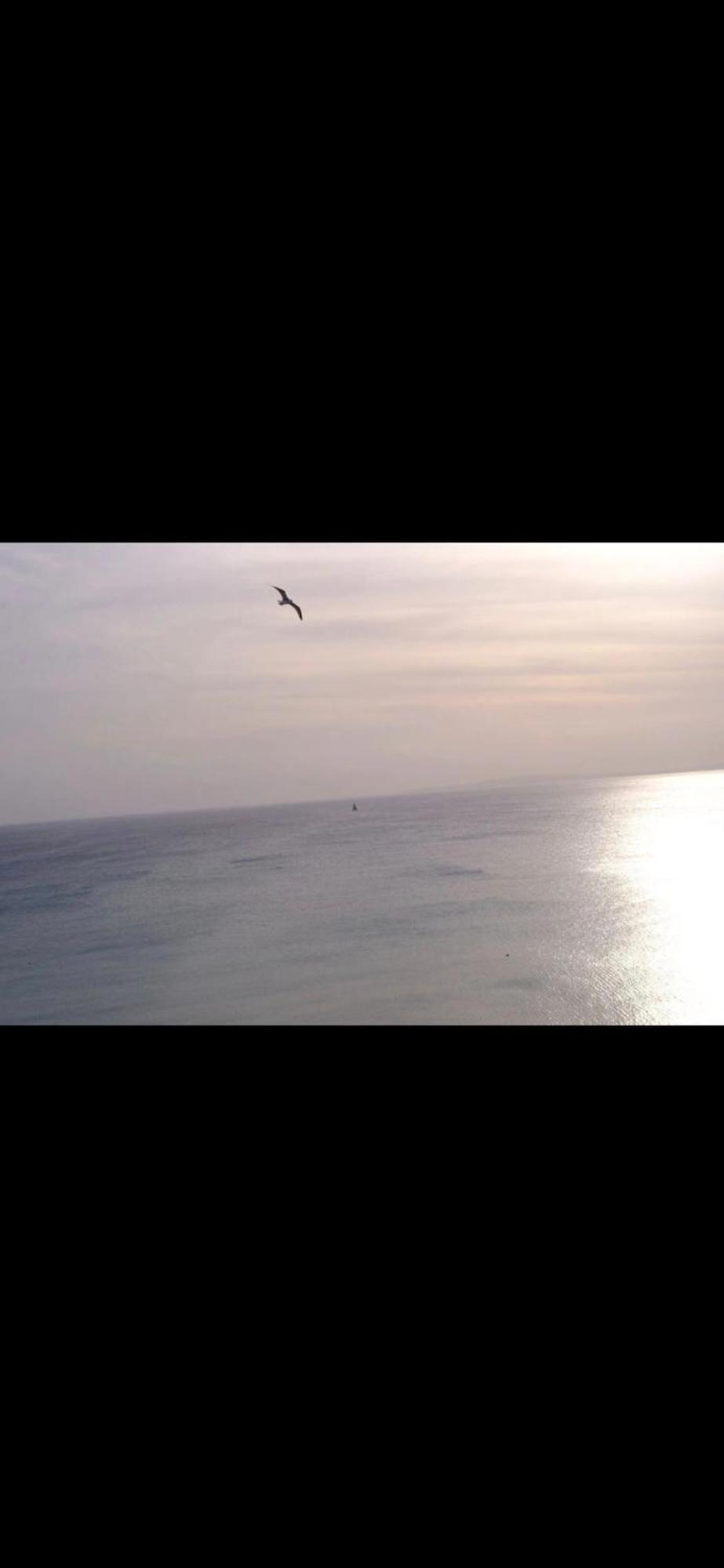 Studio In Front Of The Sea ميورقة المظهر الخارجي الصورة